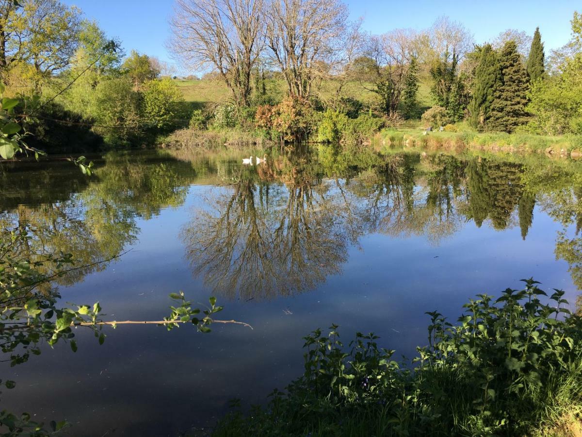 منزل الضيف Verdun-en-Lauragais  في L'Enquenouille Basse المظهر الخارجي الصورة