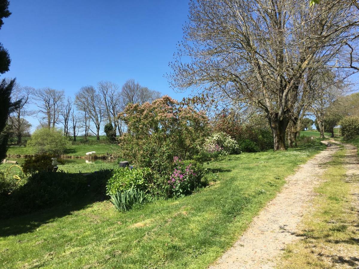 منزل الضيف Verdun-en-Lauragais  في L'Enquenouille Basse المظهر الخارجي الصورة